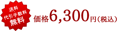 送料・代引手数料無料　価格6,300円(税込)